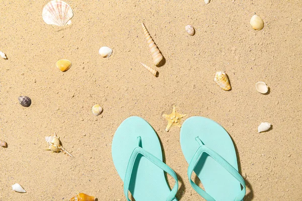 Stock image Stylish flip-flops and different seashells on beach sand