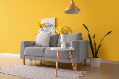 Oturma odasının içinde gri kanepe ve kahve masasında çiçek açan narsis çiçekleri.