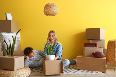 Mutlu genç çift taşınma gününde odaya çiçek topluyor.