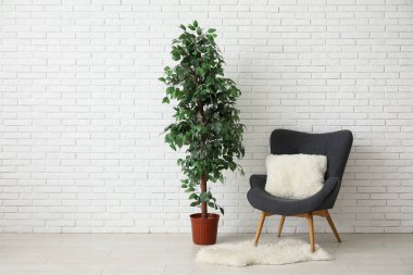 Yastıklı koyu gri koltuk, yumuşak halı ve beyaz tuğla duvarın yanındaki bitki örtüsü.