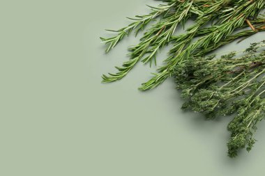 Renkli arkaplanda taze kekik ve biberiye