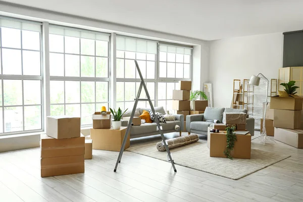 Sofas Stepladder Cardboard Boxes Living Room Moving Day — Stock Photo, Image