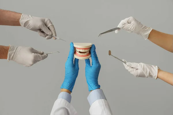 歯科用具および灰色の背景の顎モデルが付いている女性の医者の手 — ストック写真