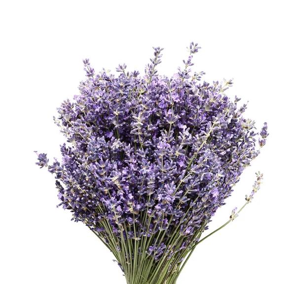 Beyaz arka planda bir buket güzel lavanta çiçeği
