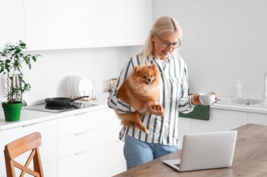 Pomeranya köpekli olgun bir kadın ve mutfakta bir fincan kahve.