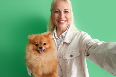 Pomeranya köpekli olgun bir kadın yeşil arka planda selfie çekiyor.