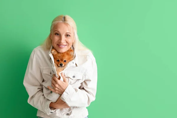 Mature woman with Pomeranian dog in jacket on green background
