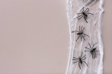 Gri arkaplanda Cadılar Bayramı partisi için örümceklerle örümcek ağı