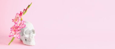 Pembe zemin üzerinde güzel gladiolus çiçekleri olan insan kafatası ve metin için boşluk