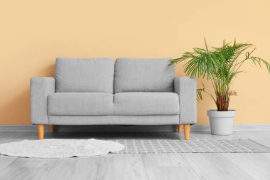 Saf gri kanepe ve bej duvarın yanındaki çiçek.