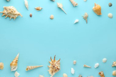 Mavi arkaplanda farklı deniz kabuklarından yapılmış çerçeve
