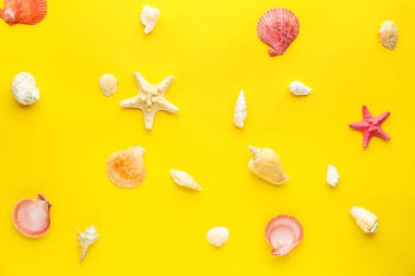Sarı arka planda farklı deniz kabukları ve deniz yıldızları
