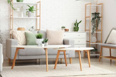 Gri kanepesi, kahve masası ve çiçekleri olan aydınlık oturma odasının içinde.