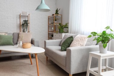 Işıl ışıl oturma odasının içinde rahat gri koltuklar, kahve masası ve bitkiler var.