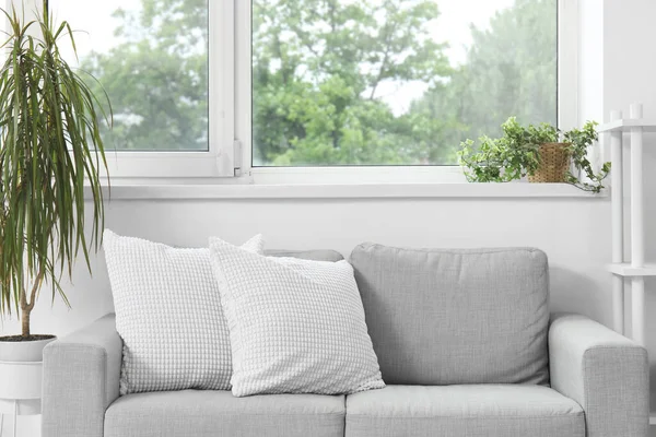Oturma odasının penceresinin yanında yastıklı ve çiçekli şık gri kanepe.