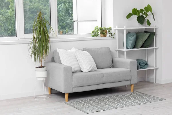 Şık gri kanepe, yastıklı raf ünitesi ve oturma odasının penceresinin yanındaki ev bitkileri.