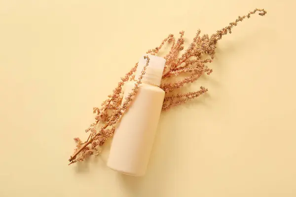 Bottle of cosmetic product and dried plant on color background