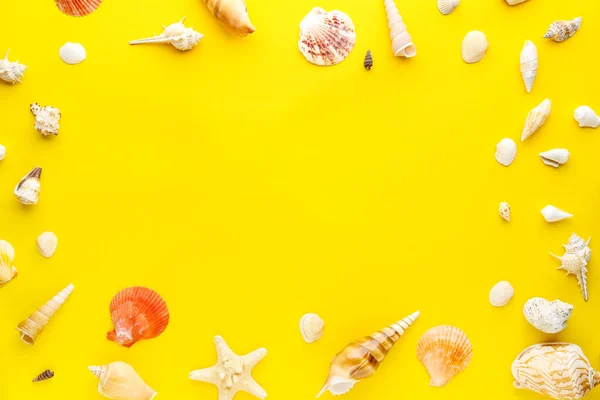 Frame Made Different Seashells Starfish Yellow Background — Stock Photo, Image