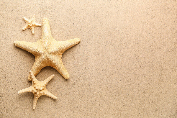 Different starfishes on sandy beach