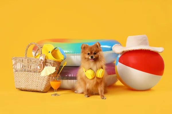 Cute Pomeranian dog with beach accessories on yellow background