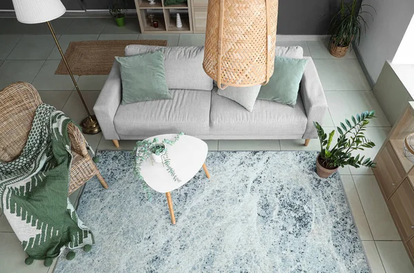 Interior Modern Living Room Plants Sofa Armchair — Stock Photo, Image