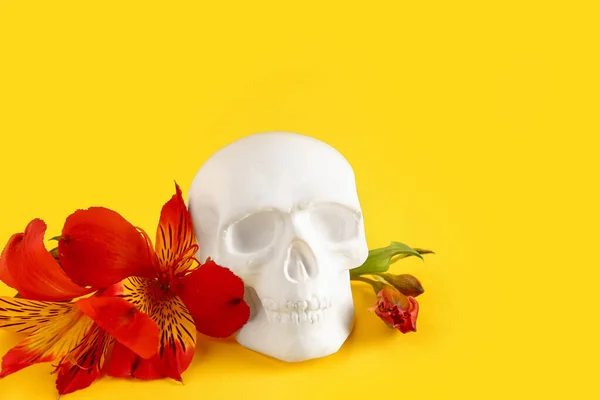 Crânio Humano Com Belas Flores Alstroemeria Fundo Amarelo Close — Fotografia de Stock