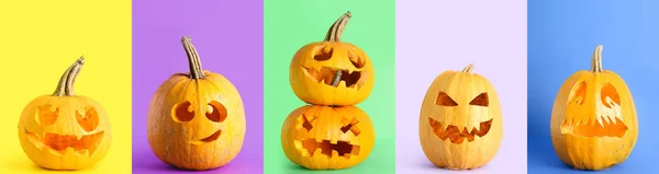 Készlet Faragott Halloween Sütőtök Színes Háttér — Stock Fotó