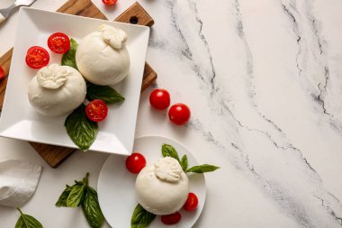 Beyaz arka planda fesleğenli ve domatesli lezzetli Burrata peyniri tabakları.