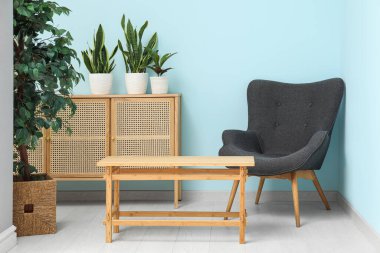 Koltuklu kahve masası, şifonyer ve mavi duvarın yanındaki bitkiler.