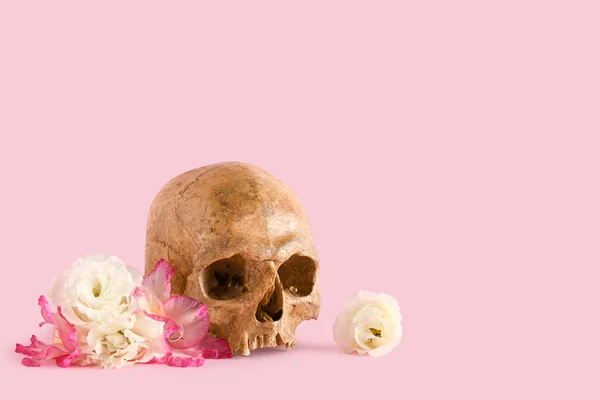Menselijke Schedel Met Prachtige Bloemen Roze Achtergrond — Stockfoto