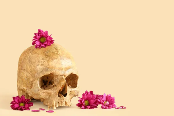 Crânio Humano Com Belas Flores Cor Rosa Fundo Bege — Fotografia de Stock