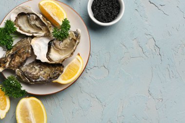 Lezzetli istiridye tabağı ve gri arka planda siyah havyar.