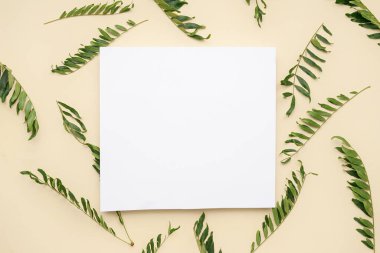 Renk arkaplanında boş kart ve bitki yaprakları olan kompozisyon