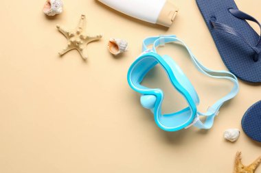 Plaj aksesuarları ve renk arkaplanlı deniz kabukları ile kompozisyon