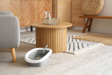 Odanın içindeki kedi için çöp kutusu