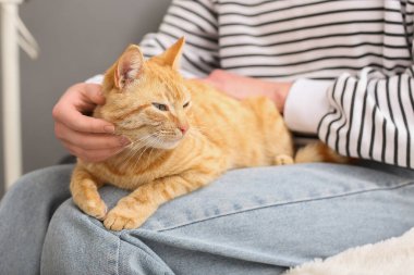 Tatlı kızıl kedili kadın evde oturuyor, yakın plan.