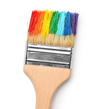 Beyaz arkaplanda renkli boya ile fırçala