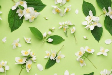 Güzel yasemin çiçekleri ve yeşil arka planda yaprakları olan kompozisyon