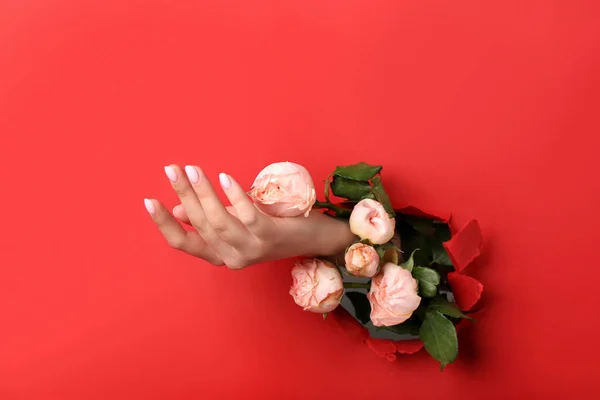 Female hand with roses visible through hole in red paper