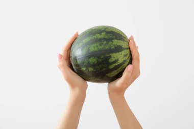 Beyaz arka planda olgun karpuz olan kadın elleri.