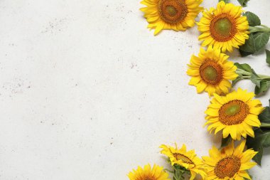 Beyaz arkaplanda güzel ayçiçeklerinden yapılmış çerçeve