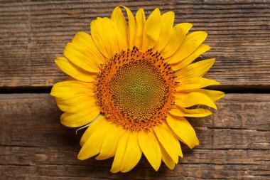 Tahta arka planda güzel bir ayçiçeği