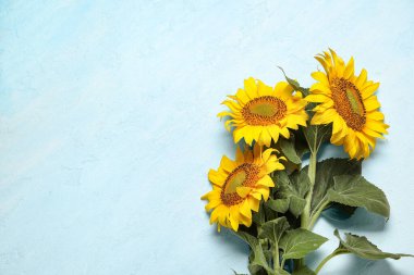 mooie zonnebloemen op blauwe achtergrond