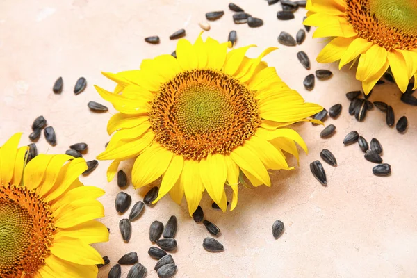 Schöne Sonnenblumen Und Samen Auf Rosa Grunge Hintergrund — Stockfoto