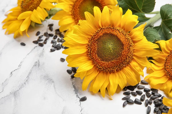 Schöne Sonnenblumen Und Samen Auf Weißem Grunge Hintergrund — Stockfoto