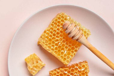 Tatlı bal peteği ve pembe arka planda deniz ayısı tabağı.