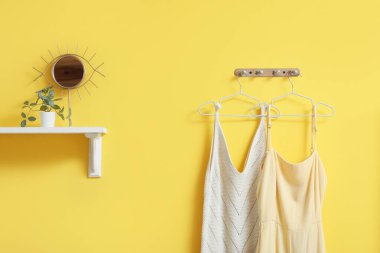 Ayna, raf ve kanca askısı olan şık bir koridor.