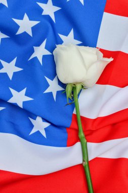 Arka planda Amerikan bayrağı olan gül çiçeği. Terörist Saldırıları Mağdurları İçin Ulusal Namaz ve Anma Günü