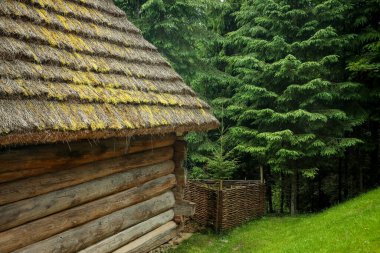 Ormanda sazdan çatılı eski ahşap bir ev.