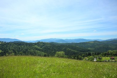 Karpatlar, Ukrayna 'da çayır ve ormanlı dağ manzarası